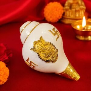 Premium Exclusive Sri Lankan Badho Shankha -#54